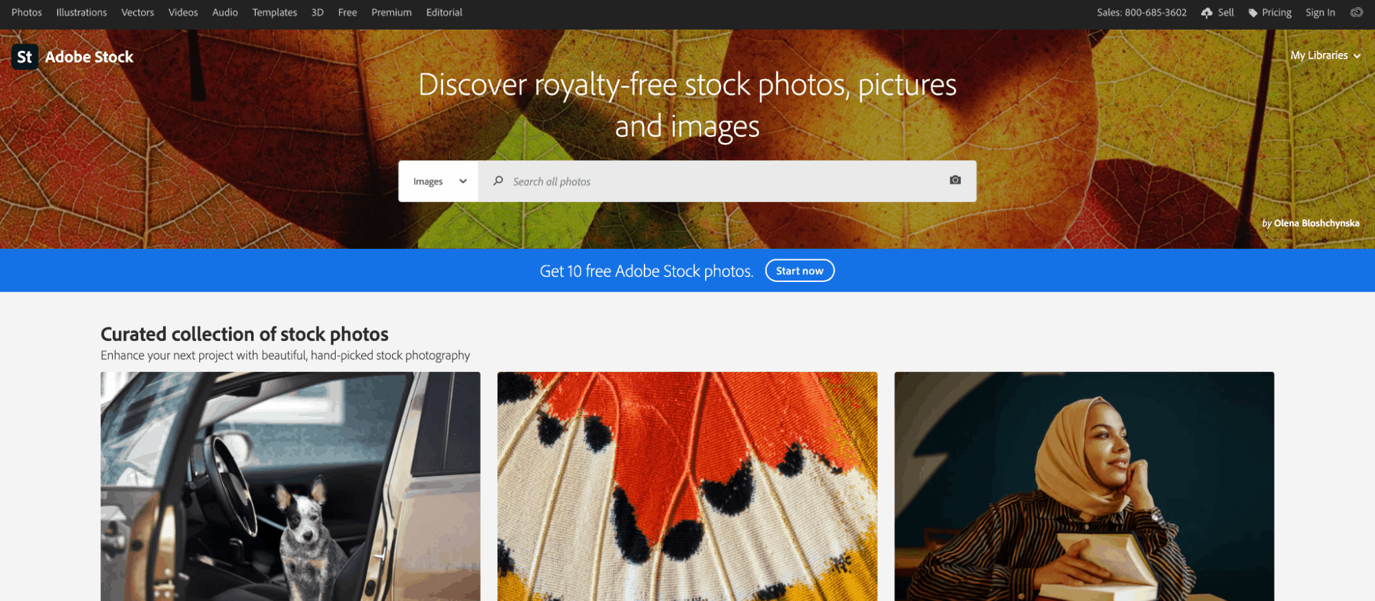 Adobe Stock photo search